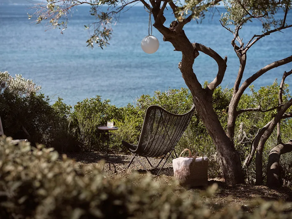Quiet sea view beneath an olive tree in Halkidiki